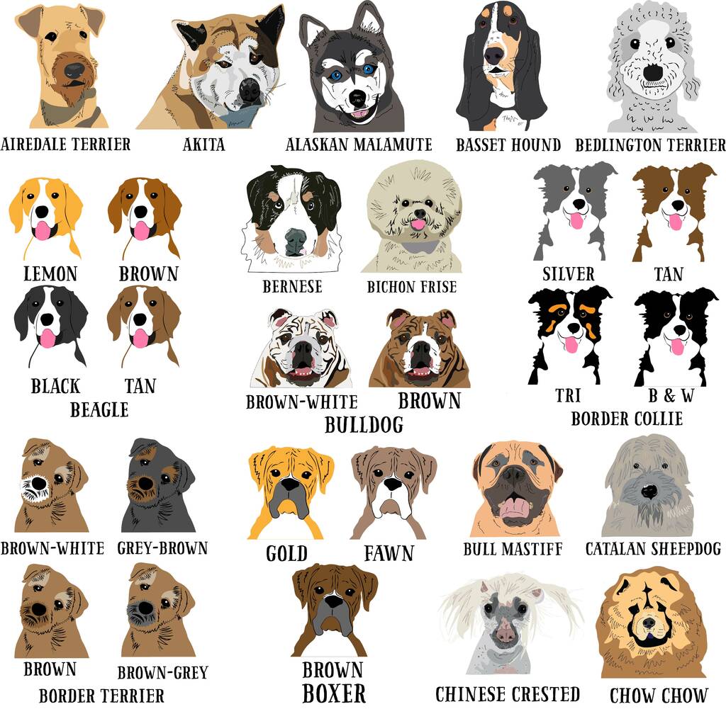 Personalised Dog Blanket - Afewhometruths