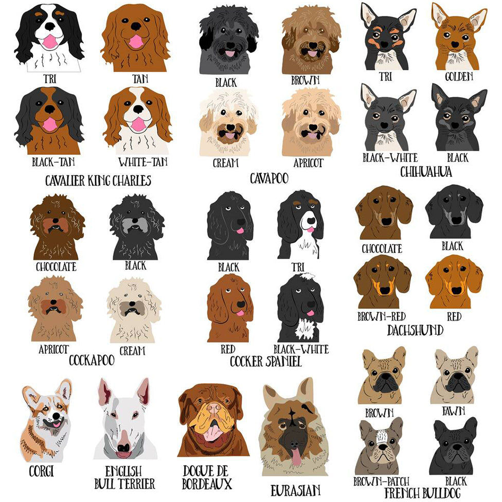 Personalised Dog Blanket - Afewhometruths