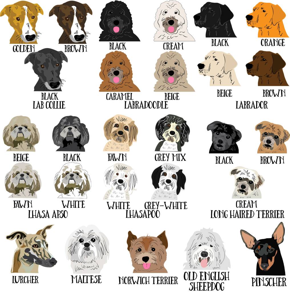 Personalised Dog Blanket - Afewhometruths