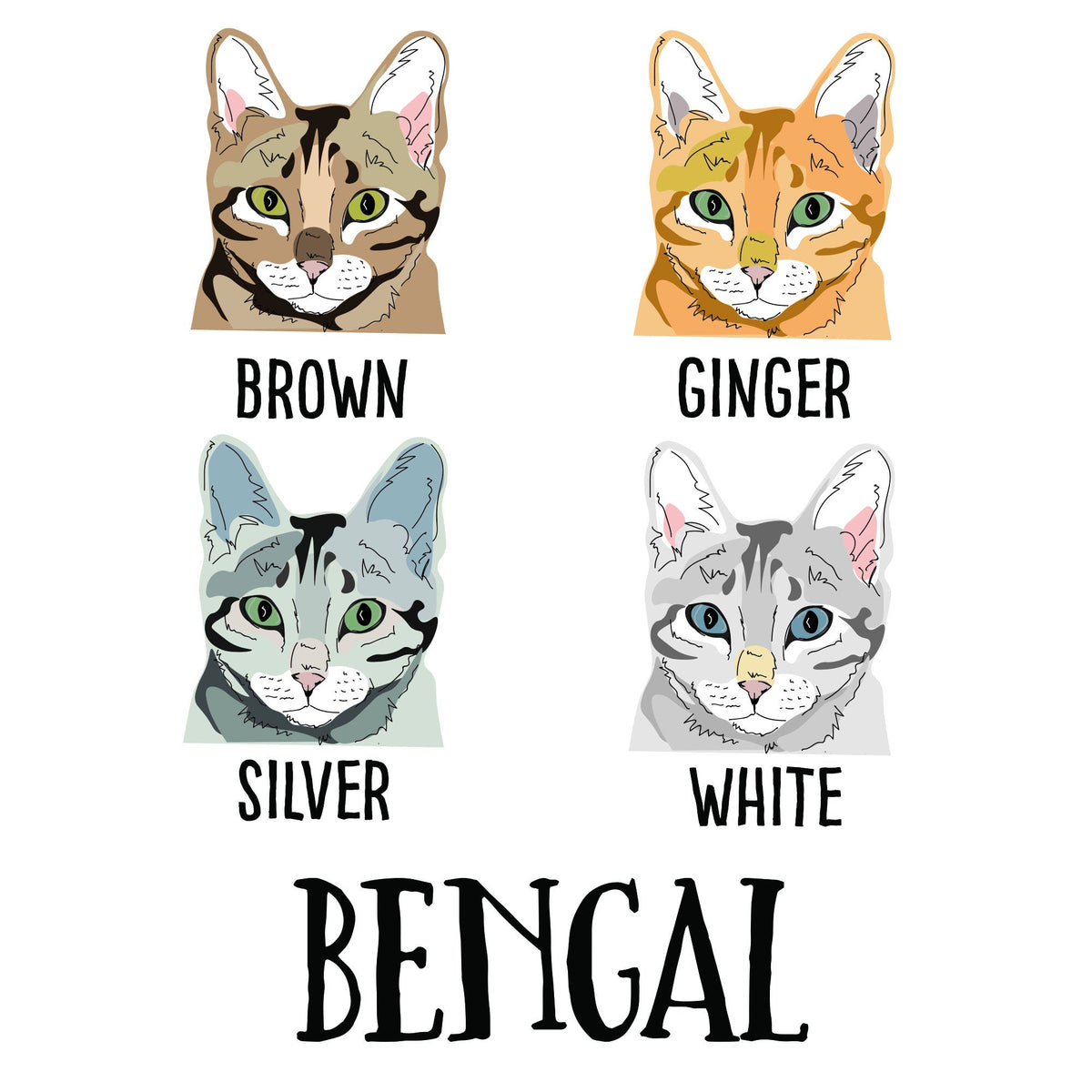 Personalised Socks For Cat Lovers