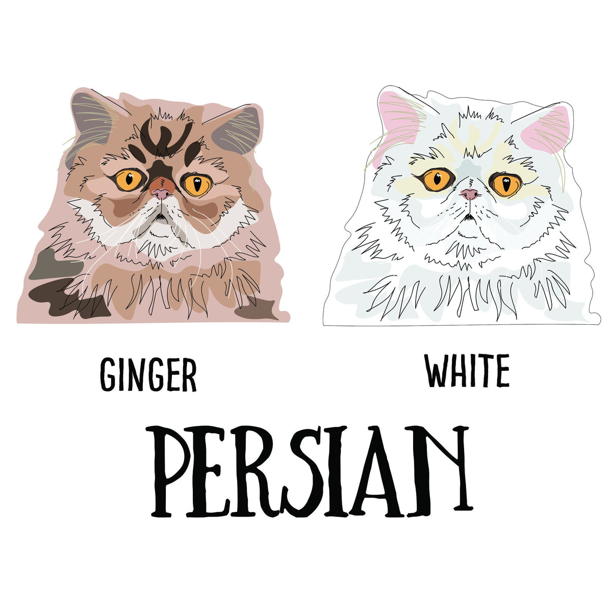 Personalised Socks For Cat Lovers