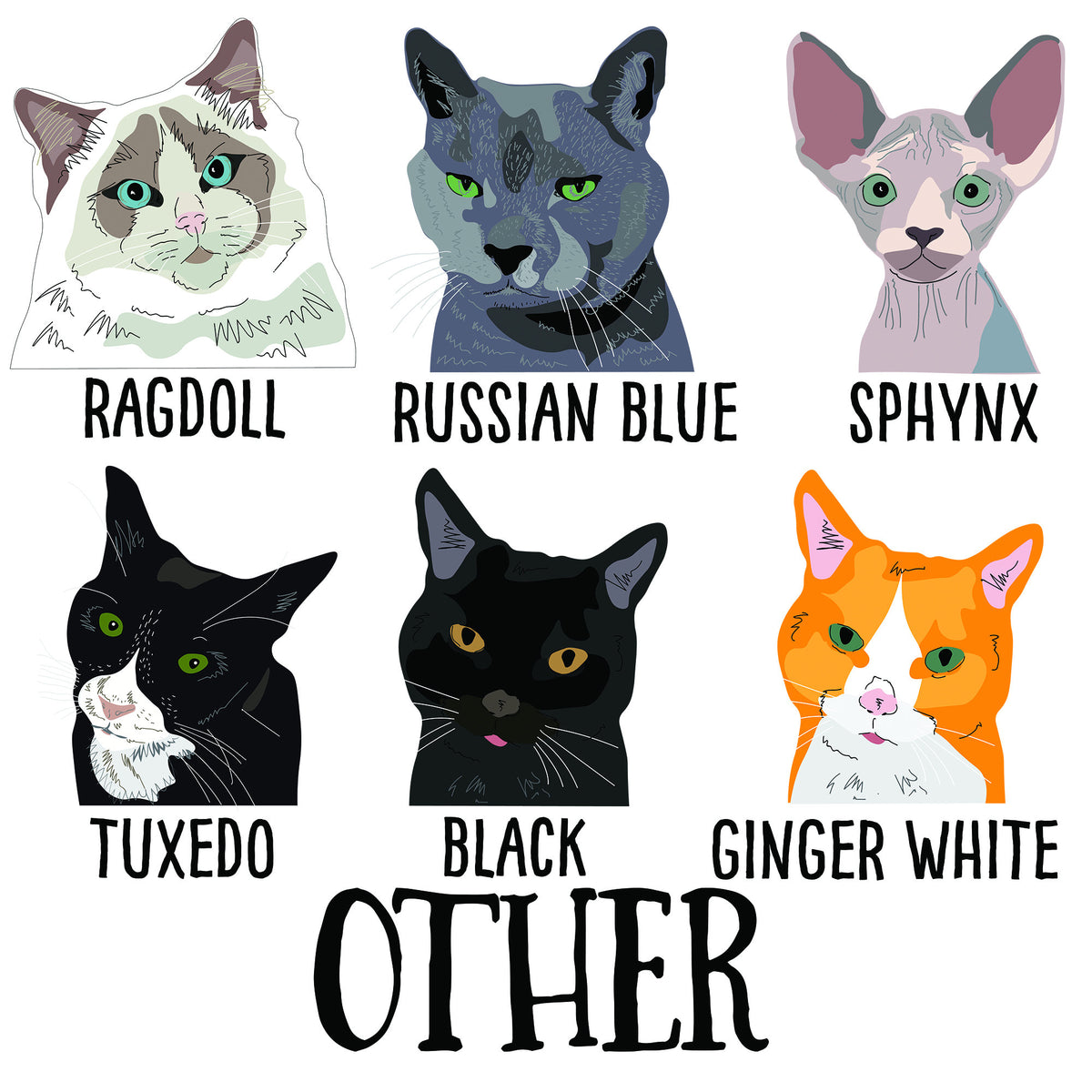 Personalised Socks For Cat Lovers
