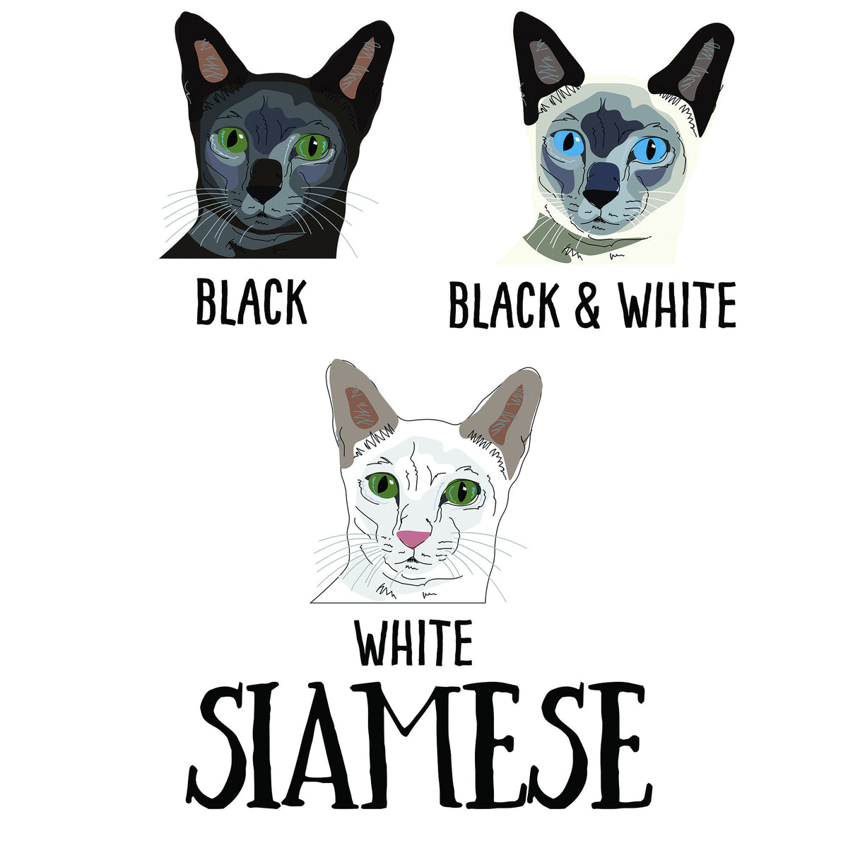 Personalised Socks For Cat Lovers