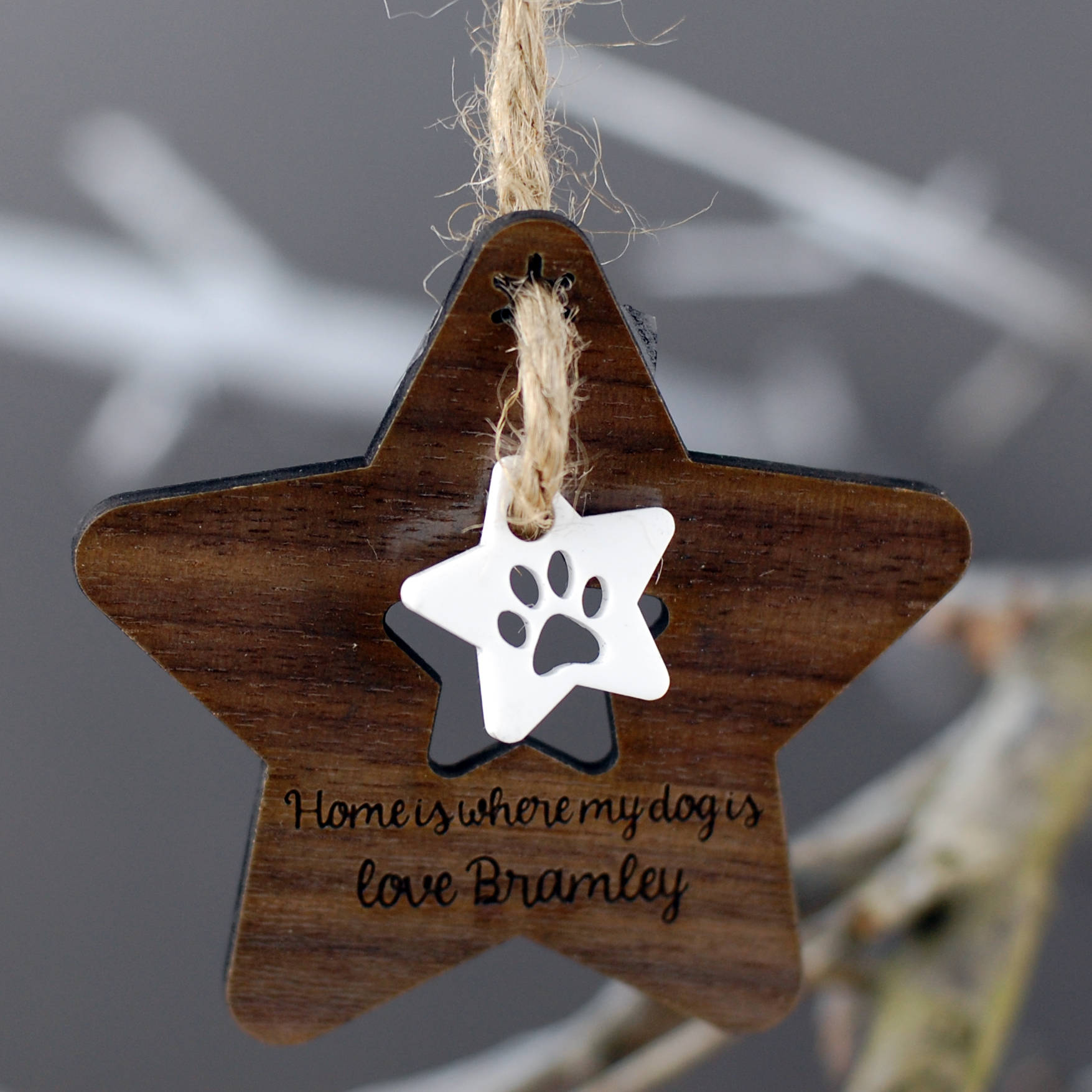 Me and My Dog Room Ornament - Afewhometruths