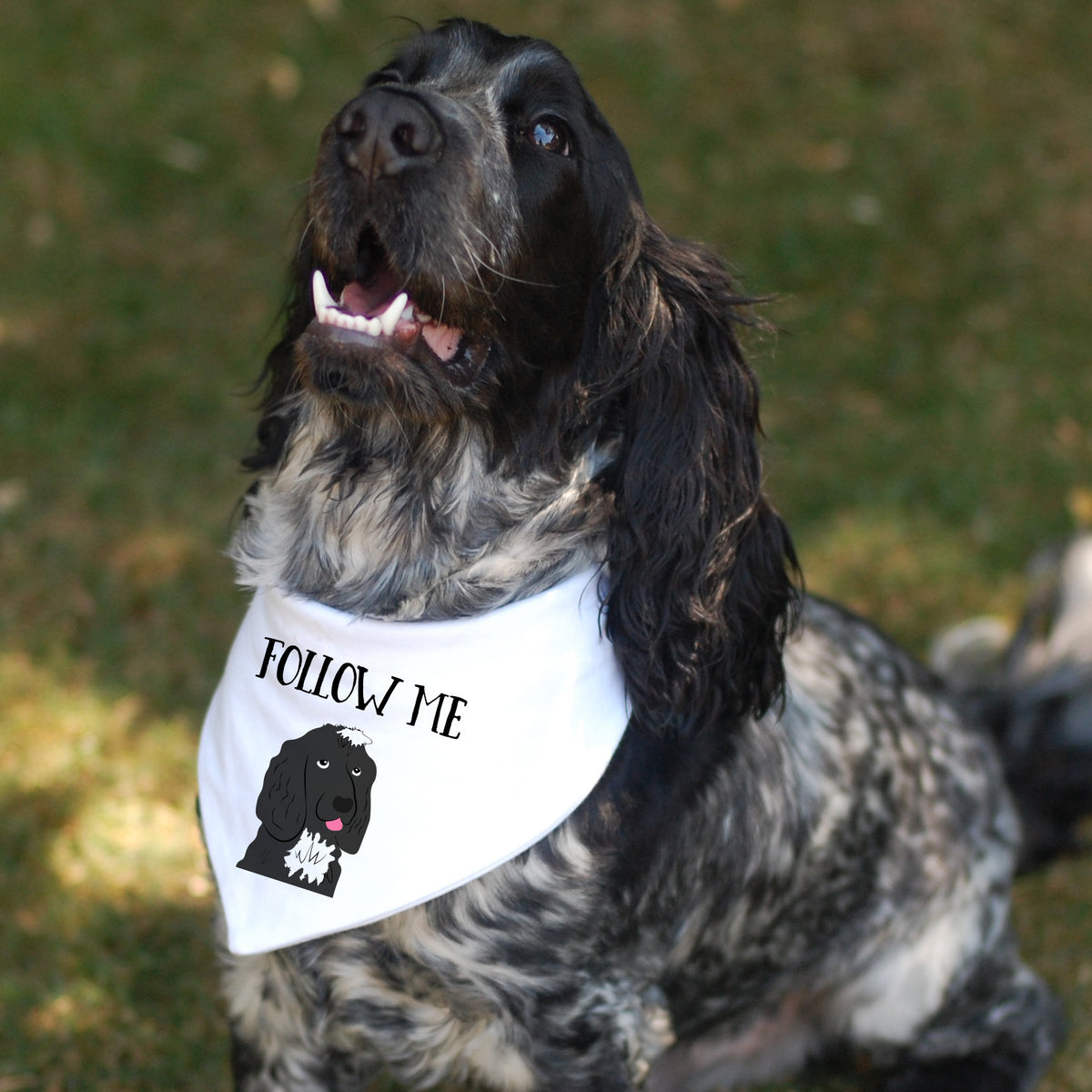 Personalised Dog Bandana Neckerchief - Afewhometruths
