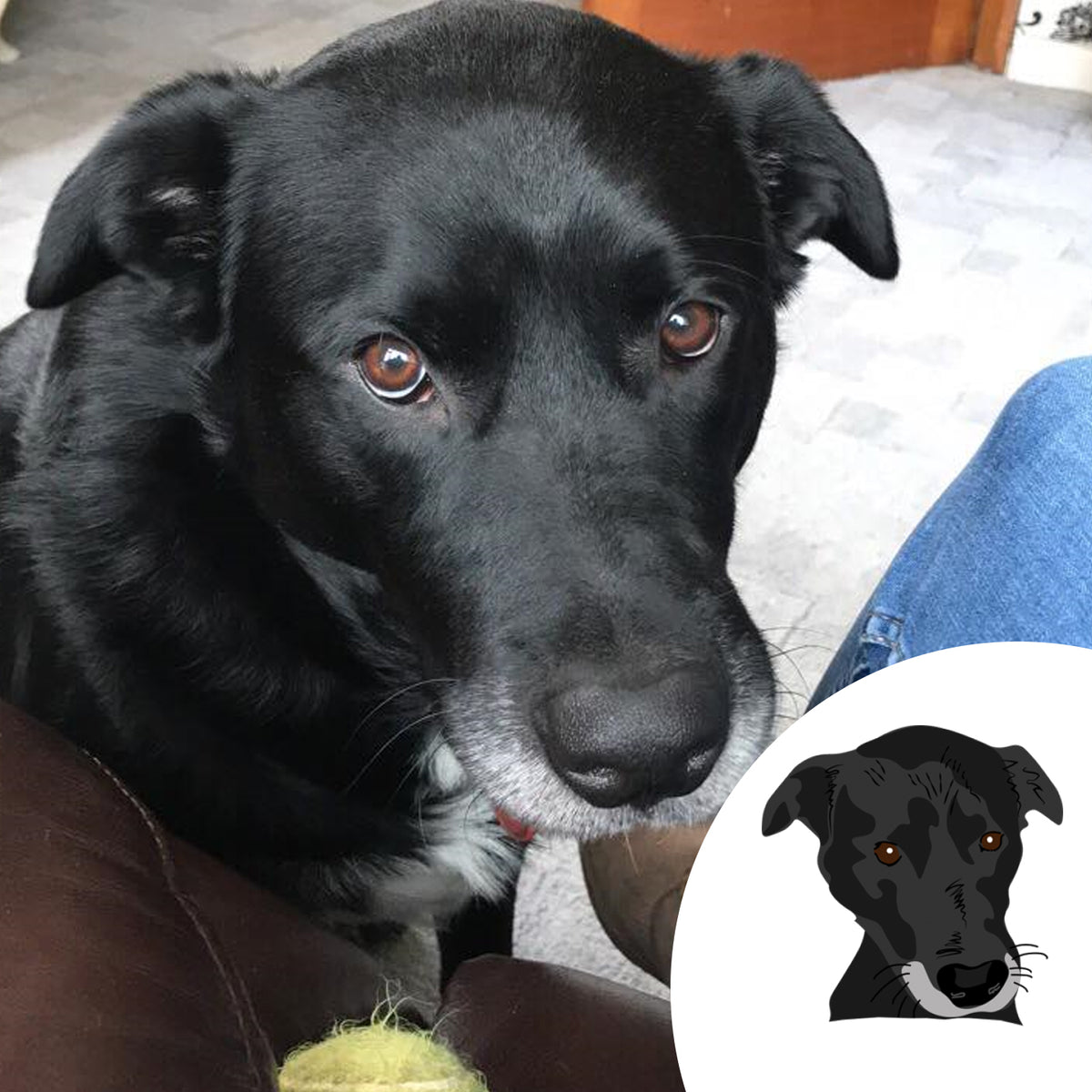Design Your Own Personalised Dog Mug - Afewhometruths