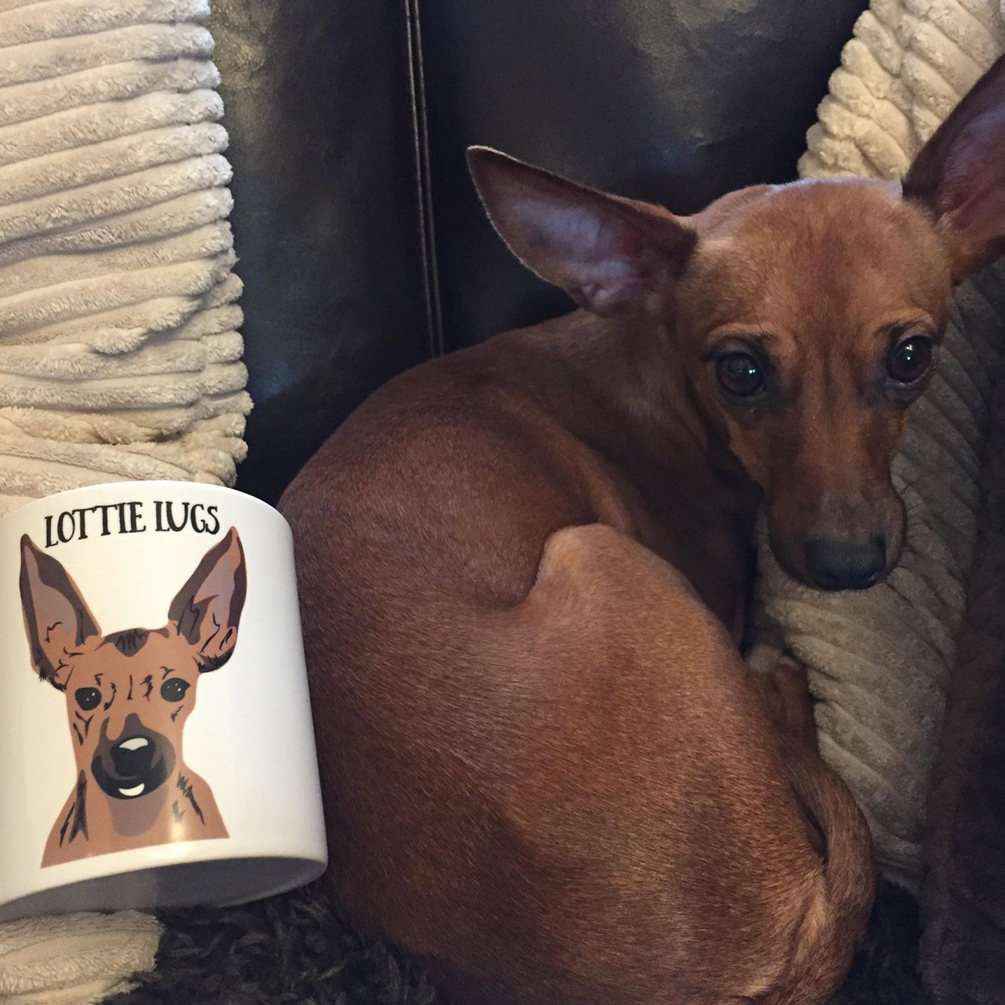 Personalised Dog Mug - Afewhometruths