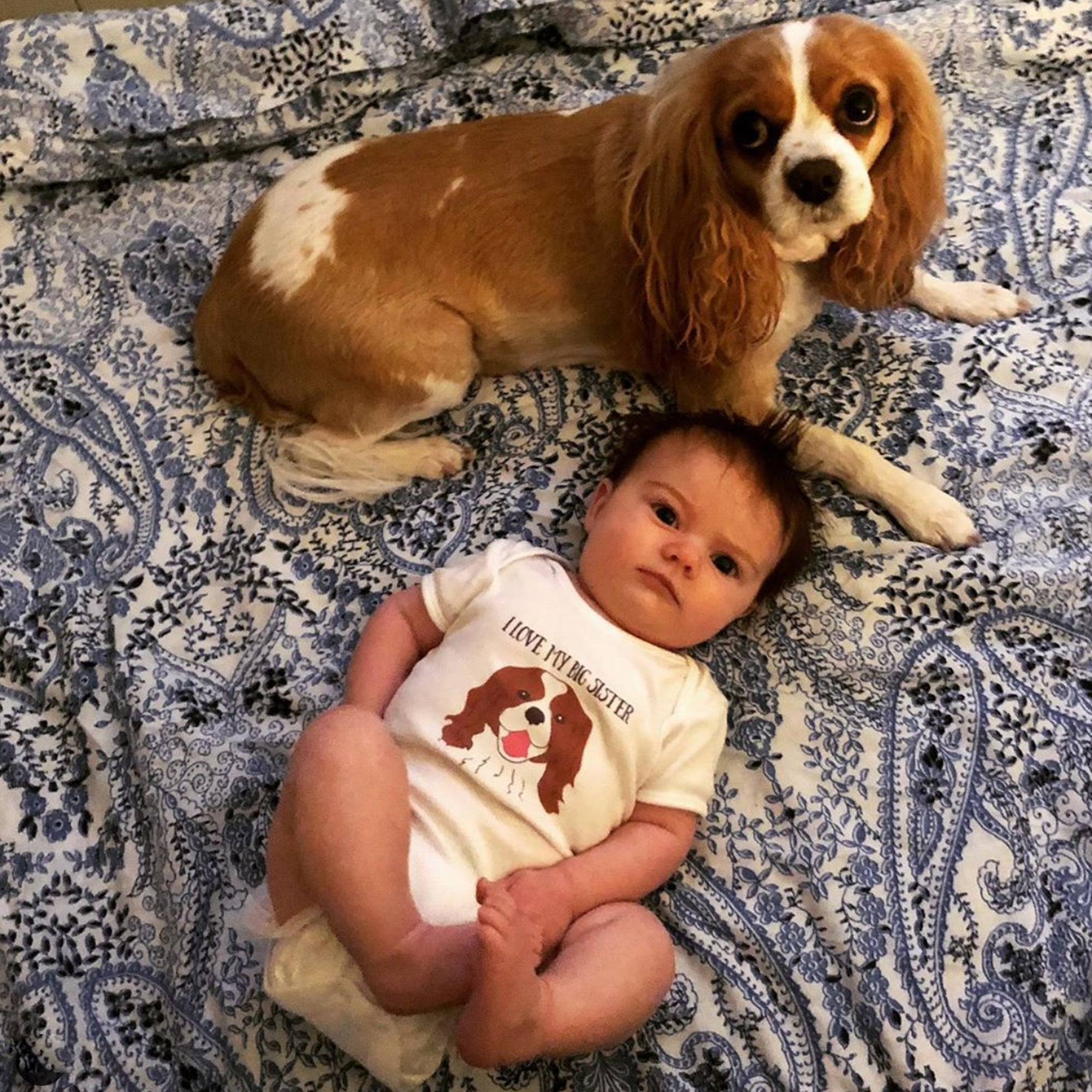 Dog Babygrow - Afewhometruths