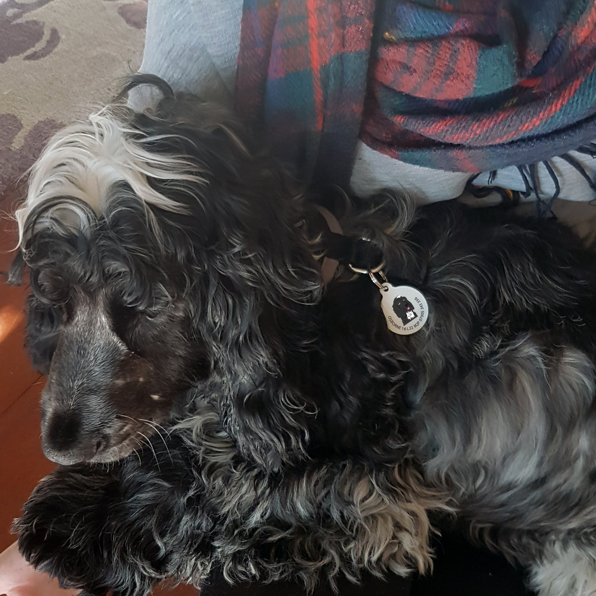 Personalised Dog ID Tag - Afewhometruths